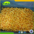 Bulk whole distribute supplier IQF frozen yellow peach dice